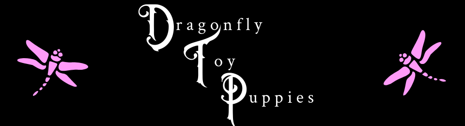 Dragonfly Toy Puppies